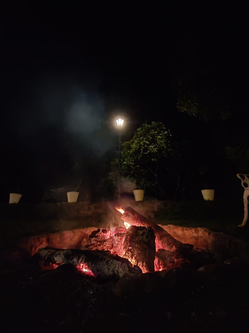 Unforgettable Stay in Gavi Forest