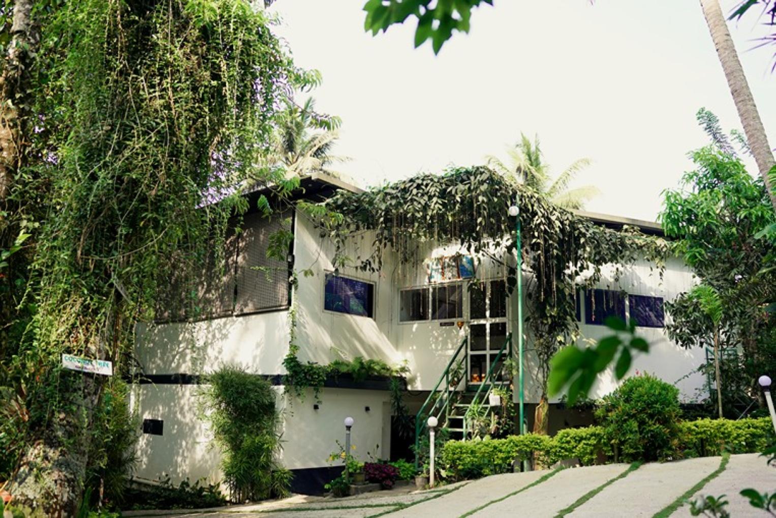 Main Image