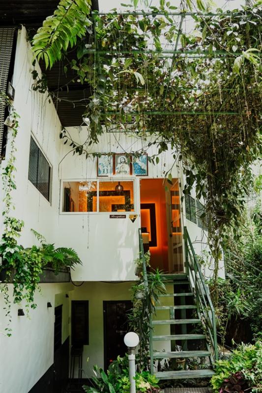 Recption with Plants