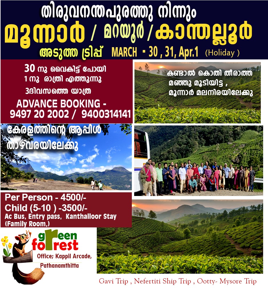 Travel Packages