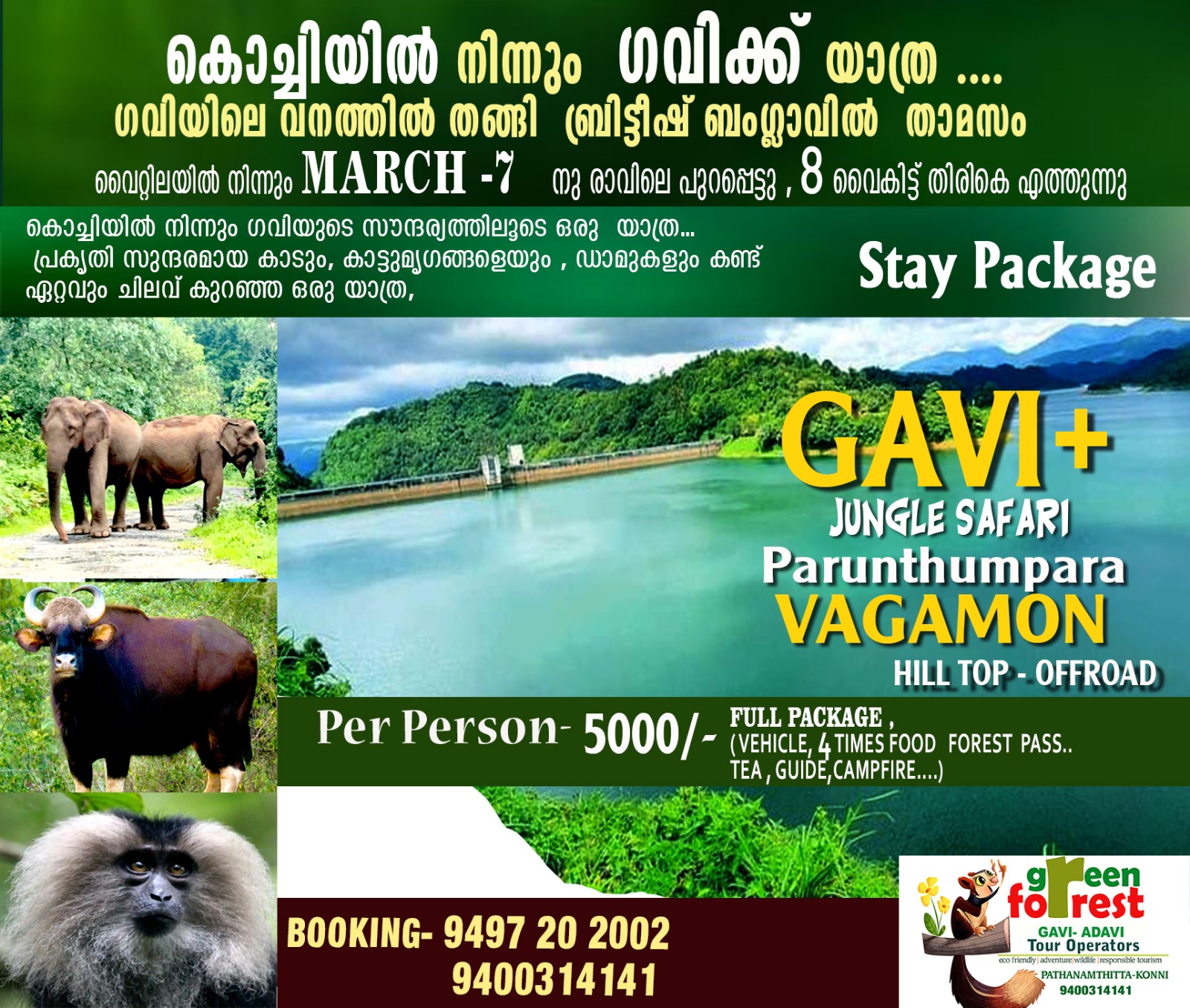 Travel Packages