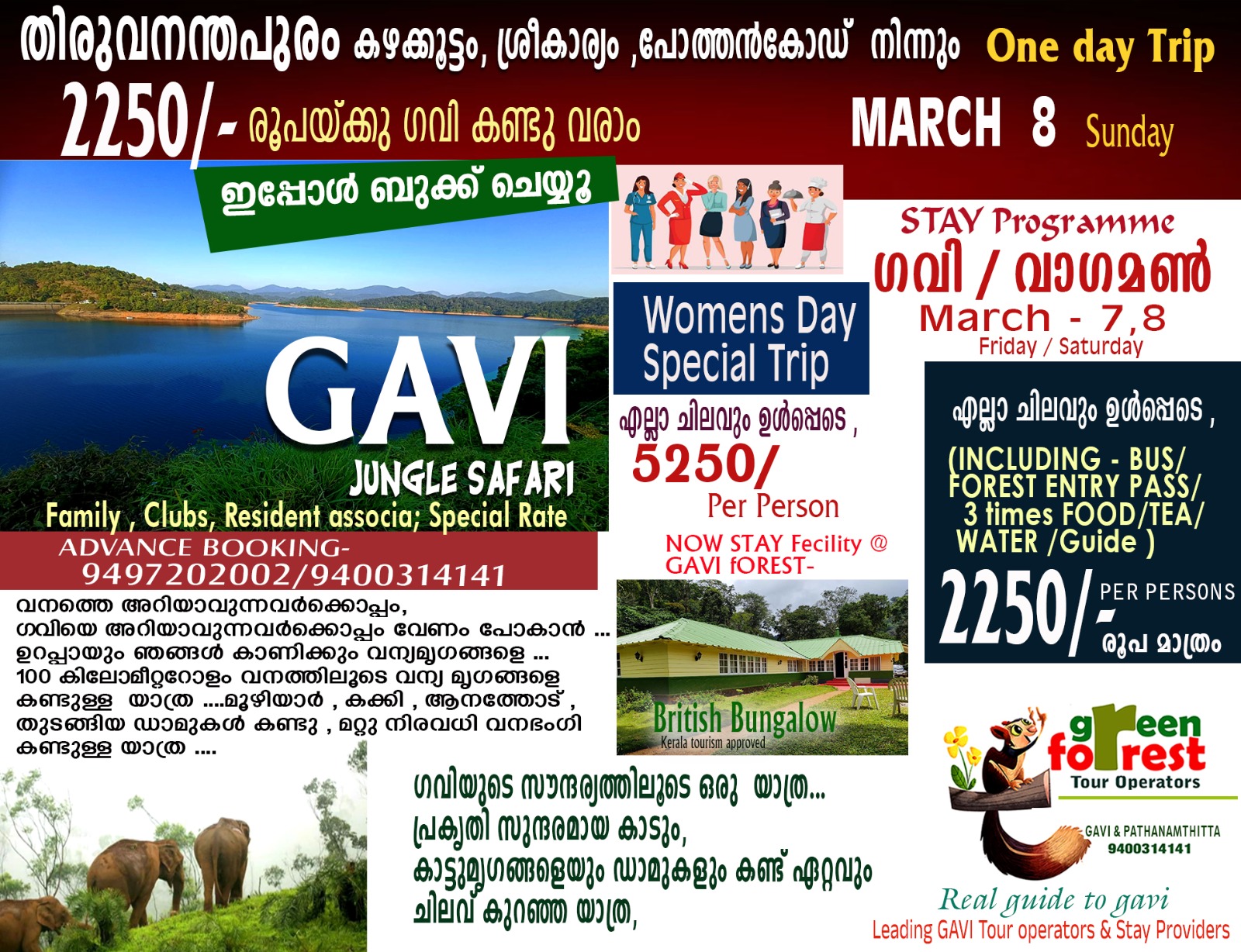 Travel Packages