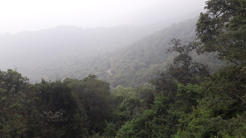 Glenmorgan Road Viewpoint