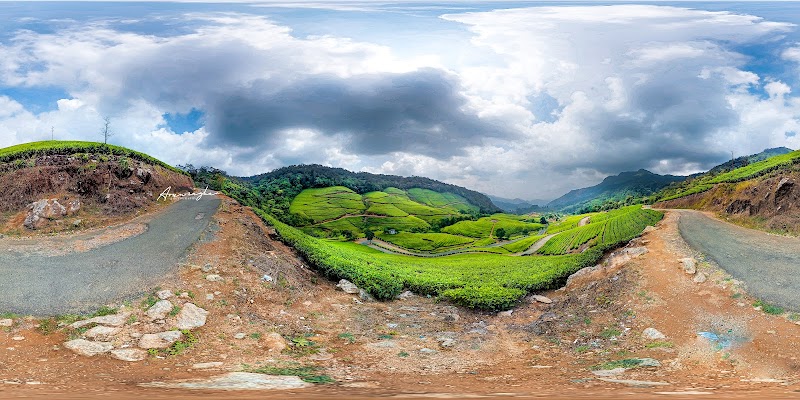 Lakshmi Tea Estate