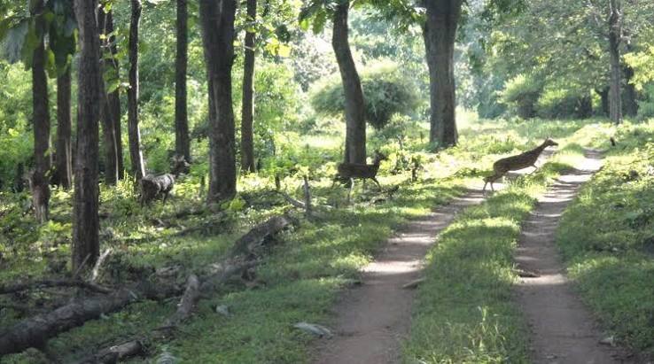 Muthodi Wildlife Sanctuary