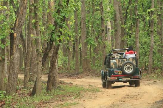Kattanamakki Jeep Ride