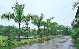 Property gallery image 10