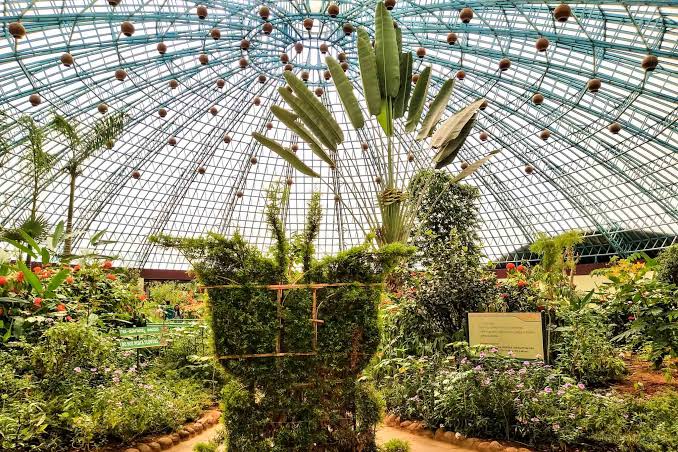 Butterfly Park