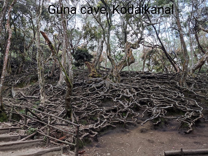 Kodaikanal