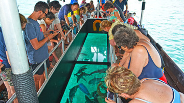 Glass Bottom Boat Ride