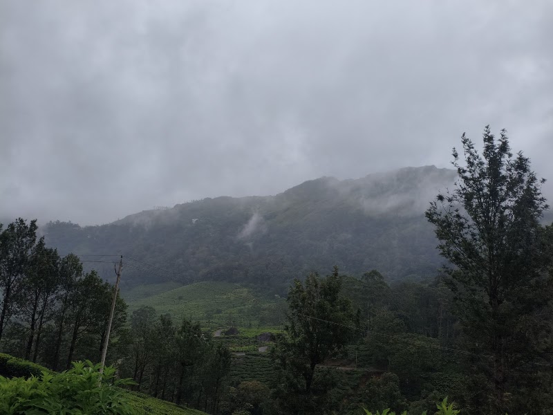 Pothamedu Viewpoint