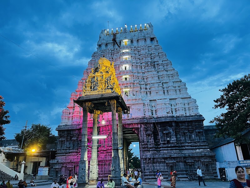 Thirukachi (Kanchipuram) – Sri Varadharajar Temple