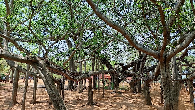 Auroville