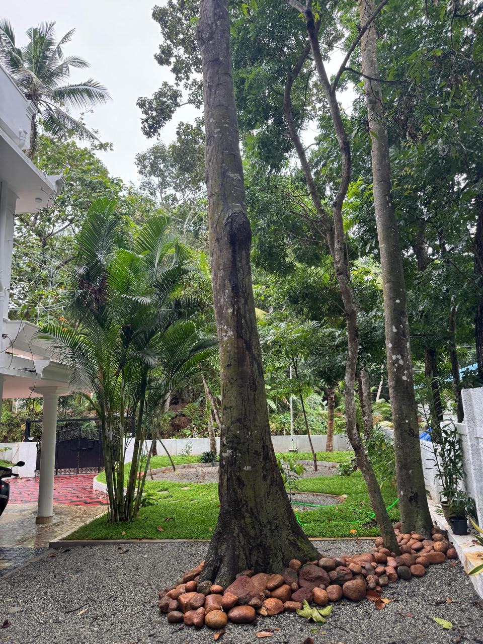 Niharika Homestay view