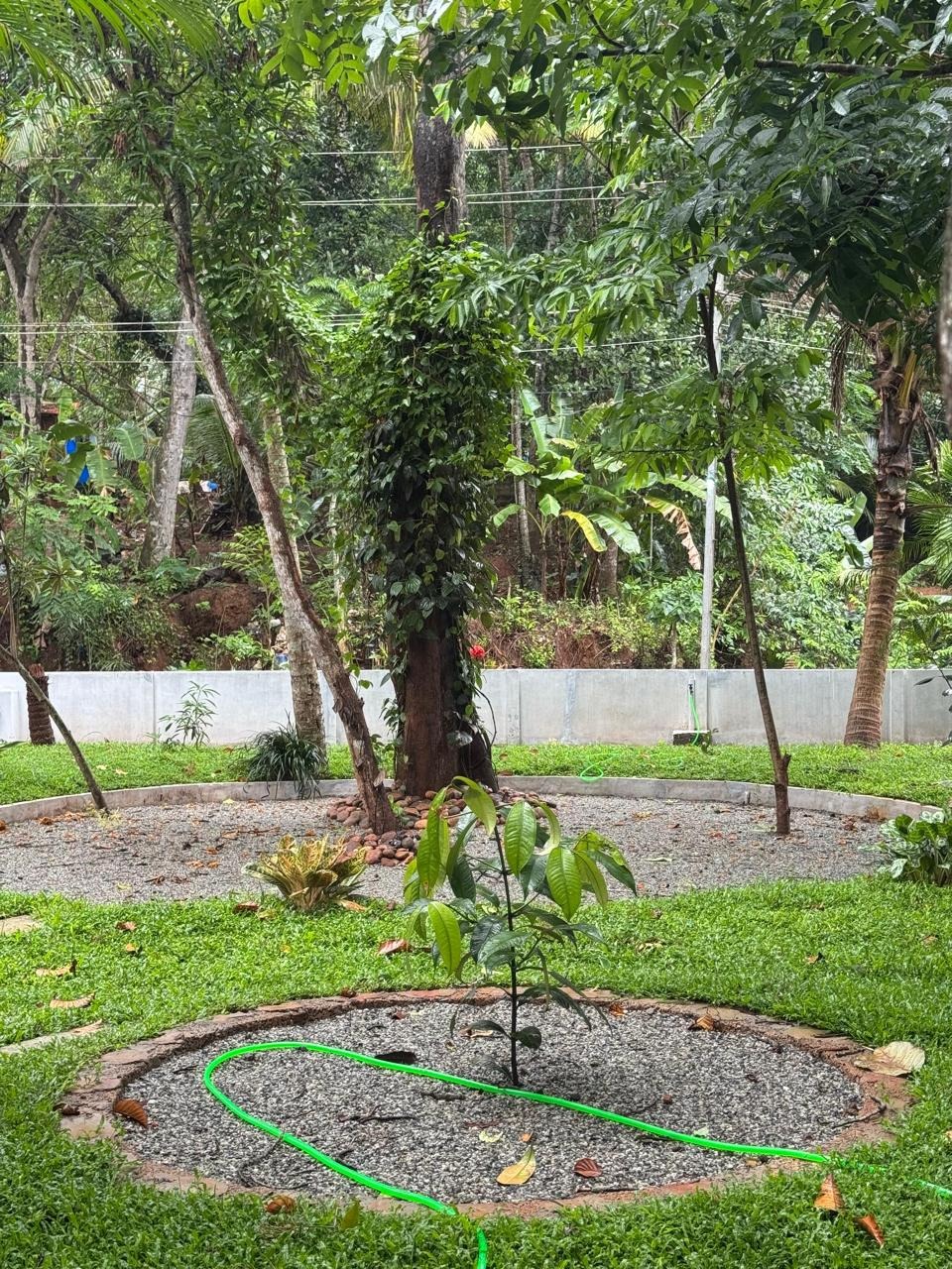 Niharika Homestay setting