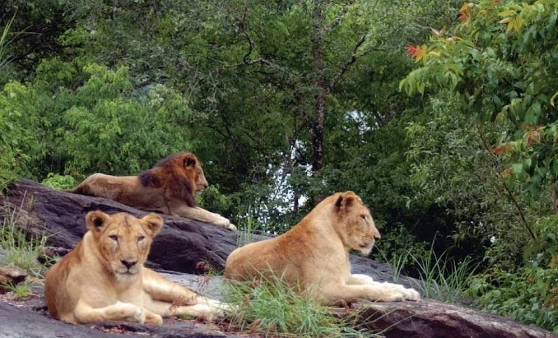 Neyyar Wildlife Sanctuary
