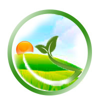 TEA NEST VAGAMON Logo