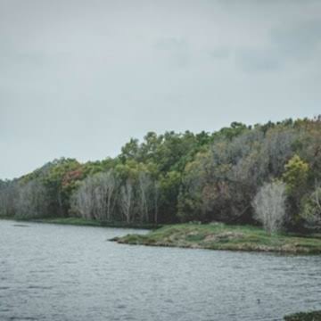 Jigani Lake