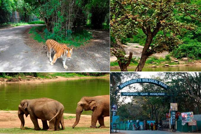 Bannerghatta Biological Park