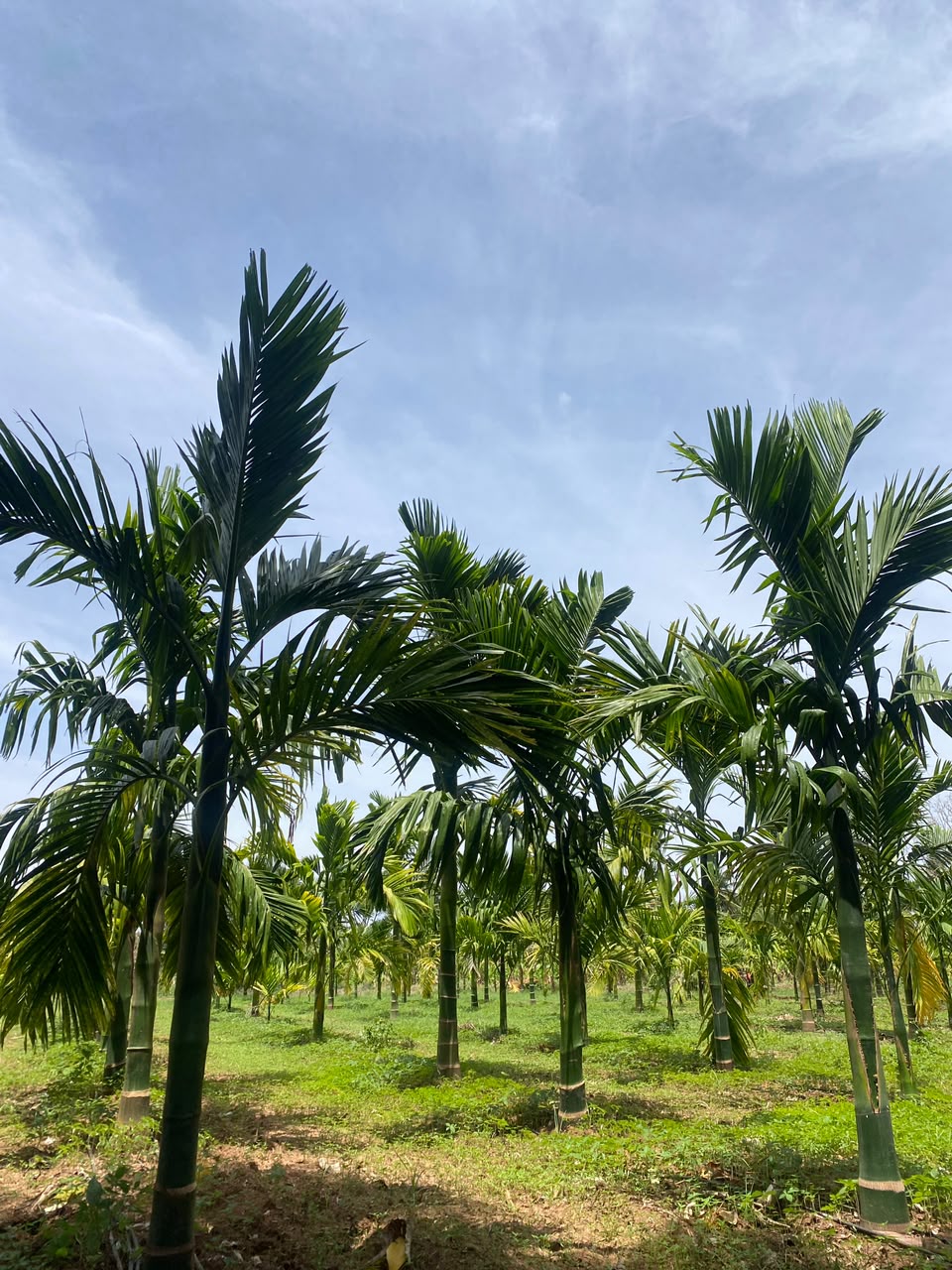 Farm Tour