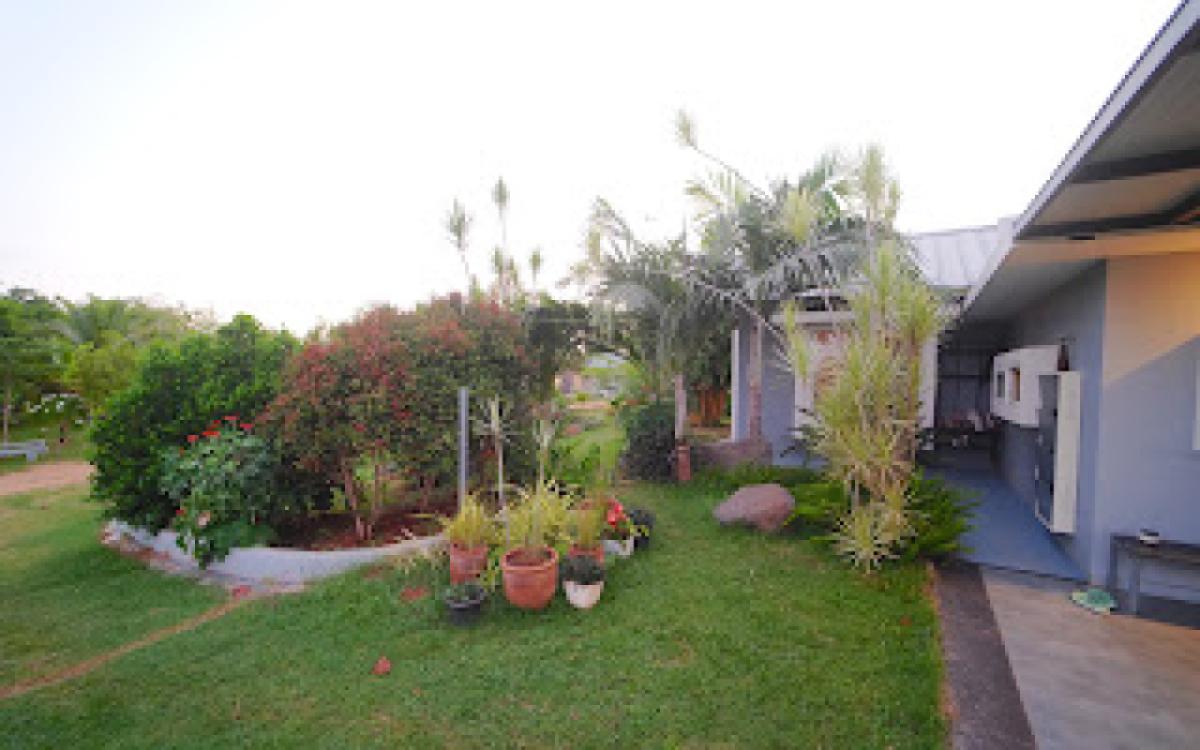 DSC02398