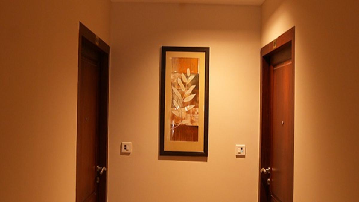 Gallery-14