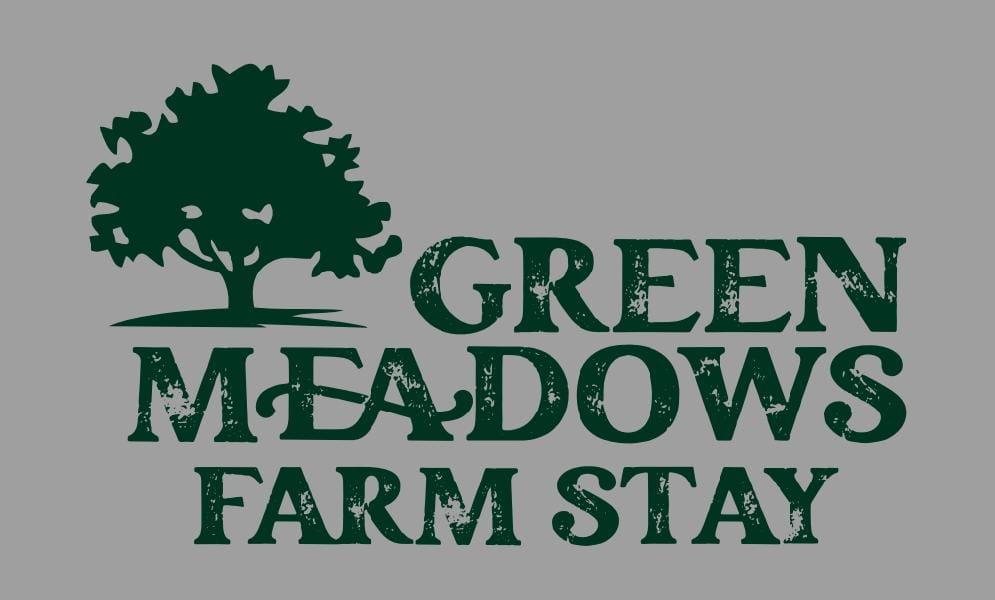 Green Meadows - Amba Logo