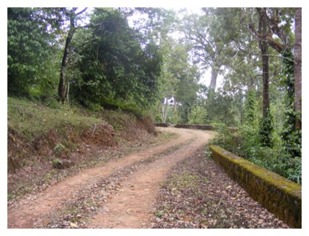 walking trail