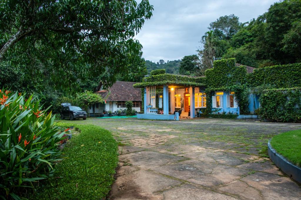 Main Image