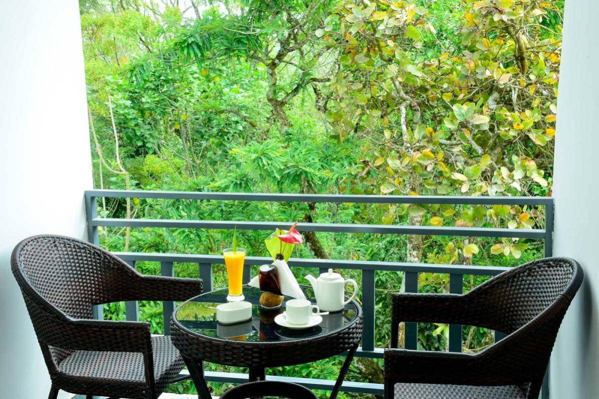 balcony-with-plantation