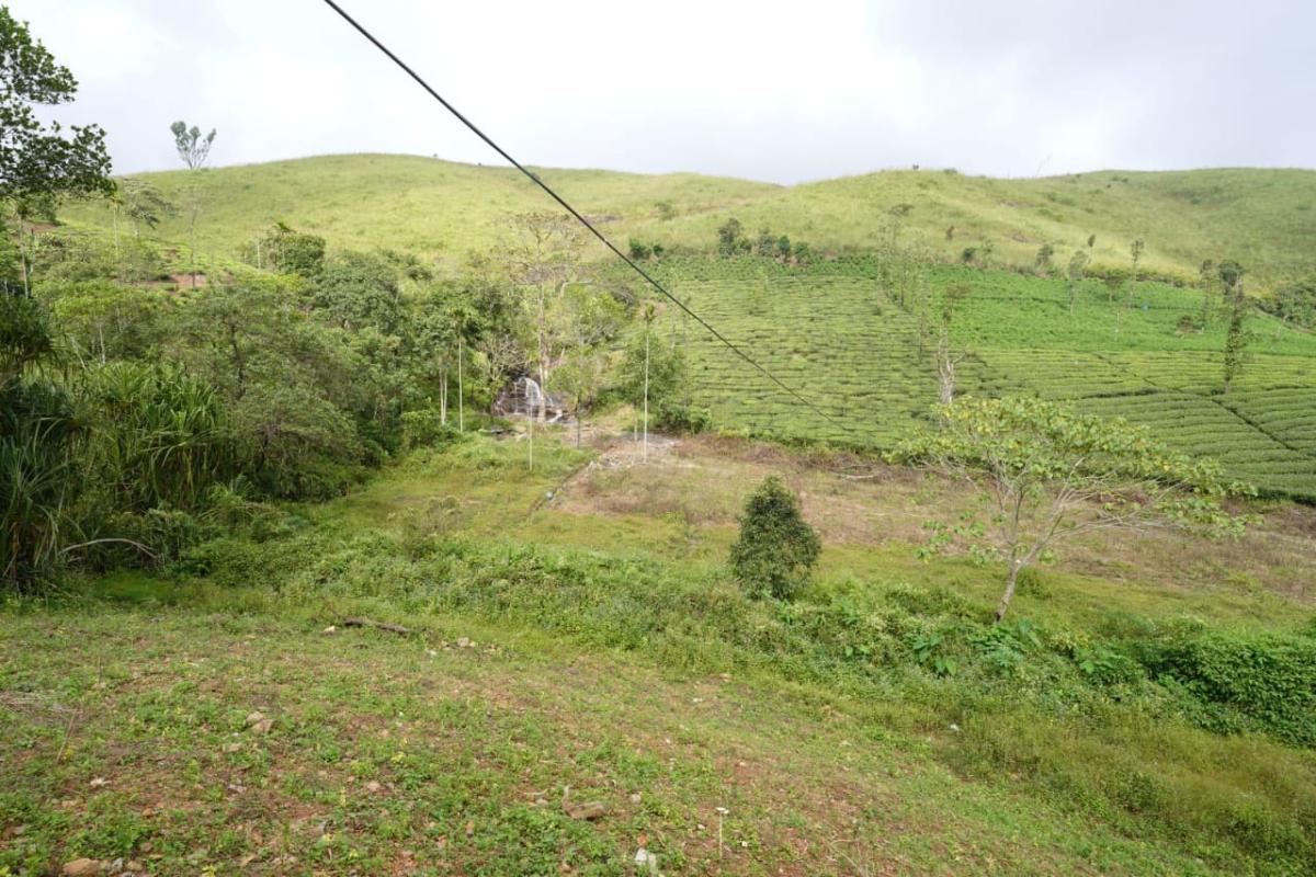 IMG-20250529-WA0038