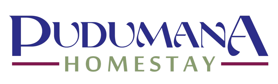 Website Logo