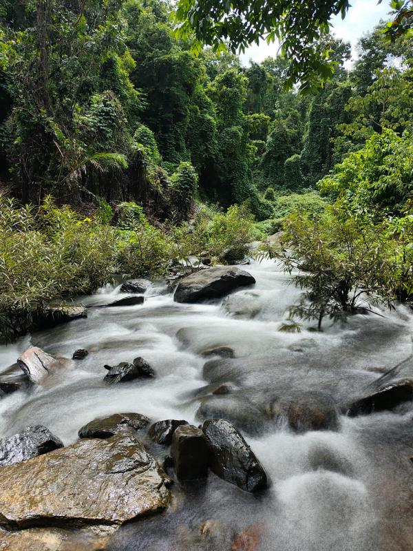 IMG-20250624-WA0035