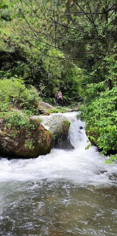 Waterfall at Your Doorstep