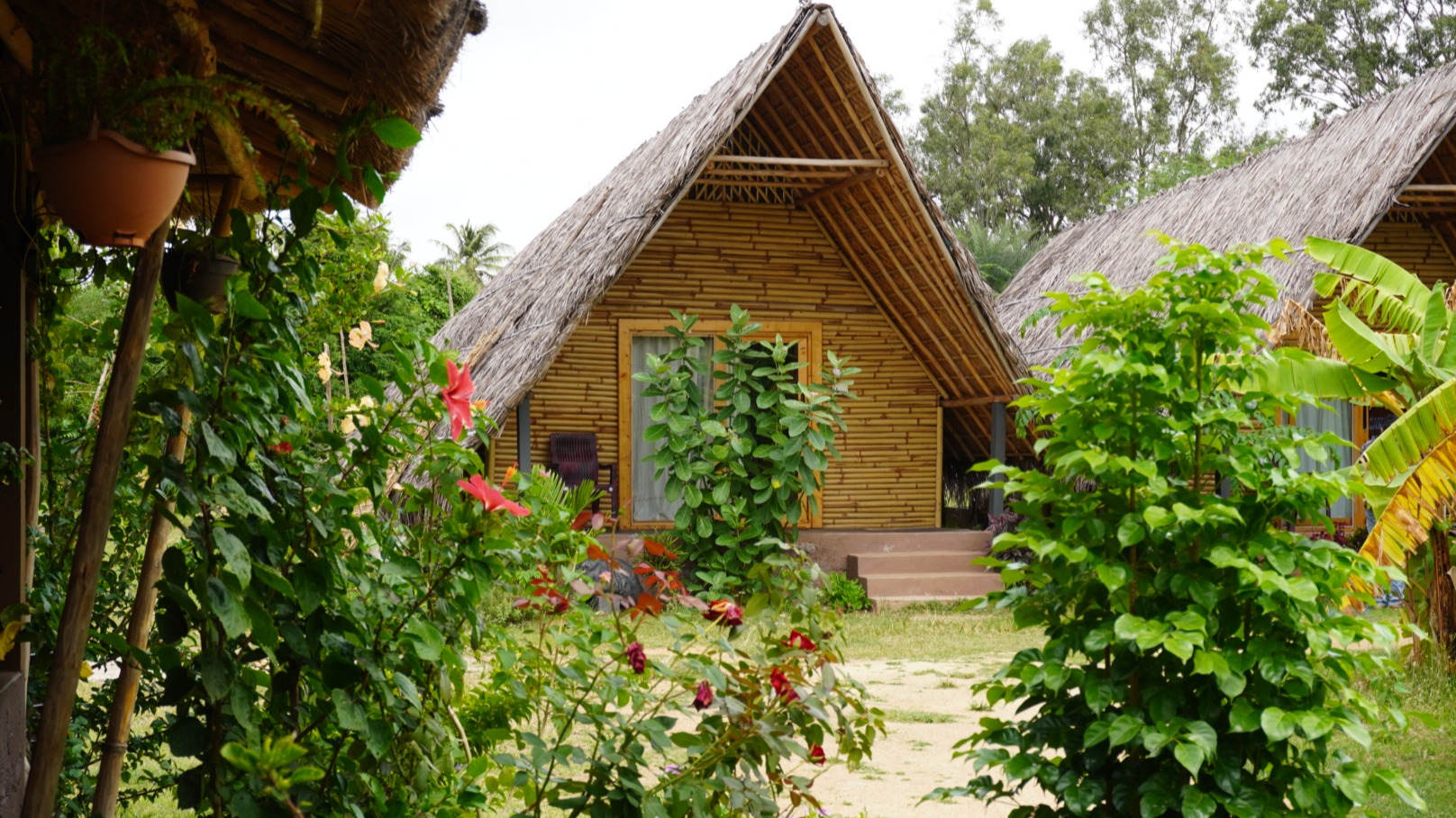 Bamboo Rooms
