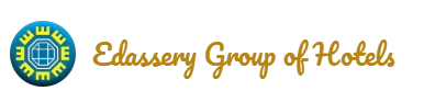 Website Logo