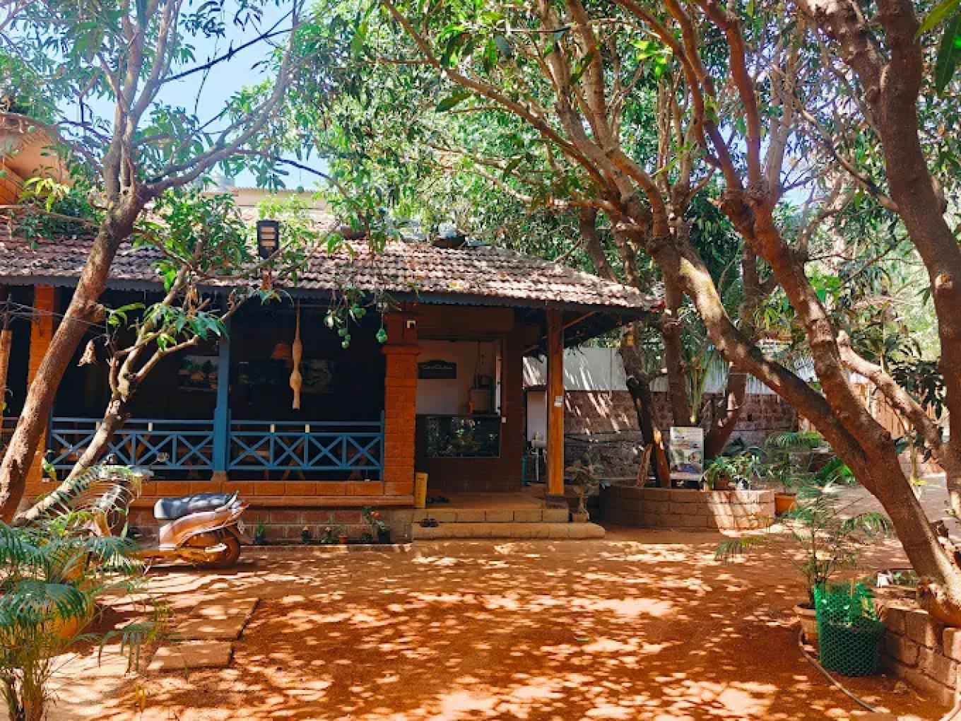 Main Image