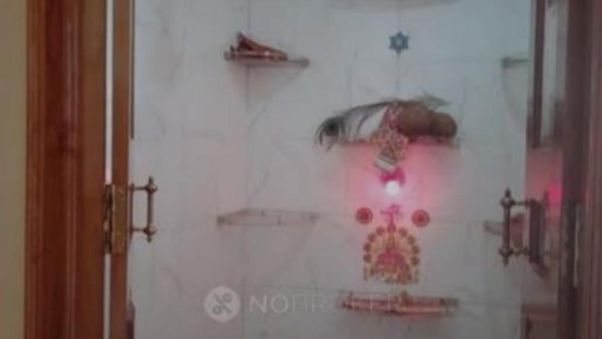 WhatsApp Image 2024-10-15 at 8.21.27 PM (2)