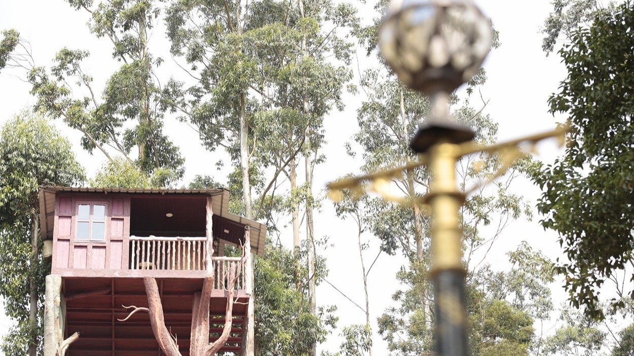 Tree House.