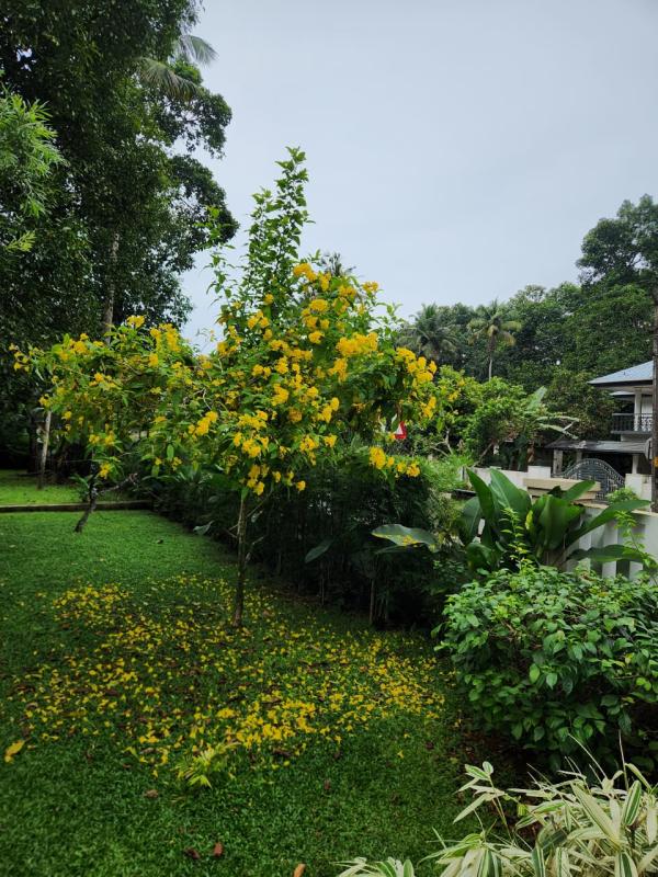 IMG-20250826-WA0081