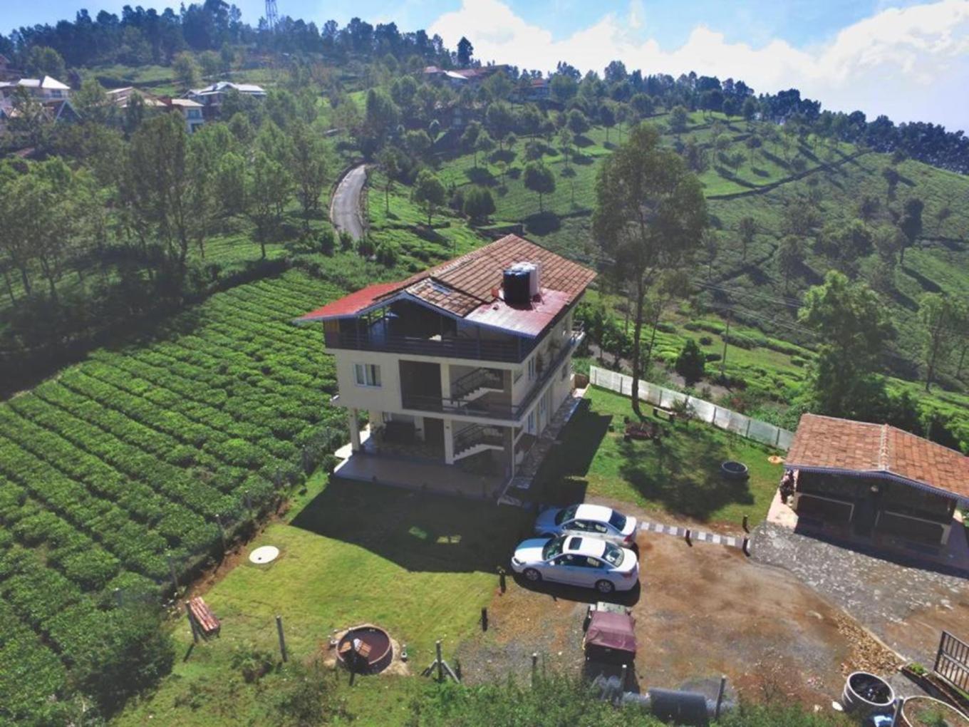Main Image