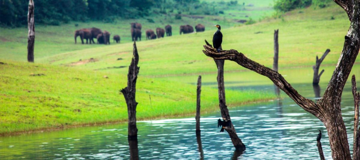 IMG-20250910-WA0047