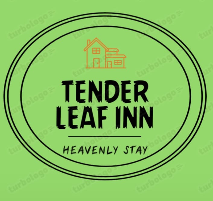 Website Logo