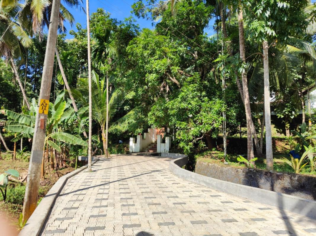 vilayara parking 1