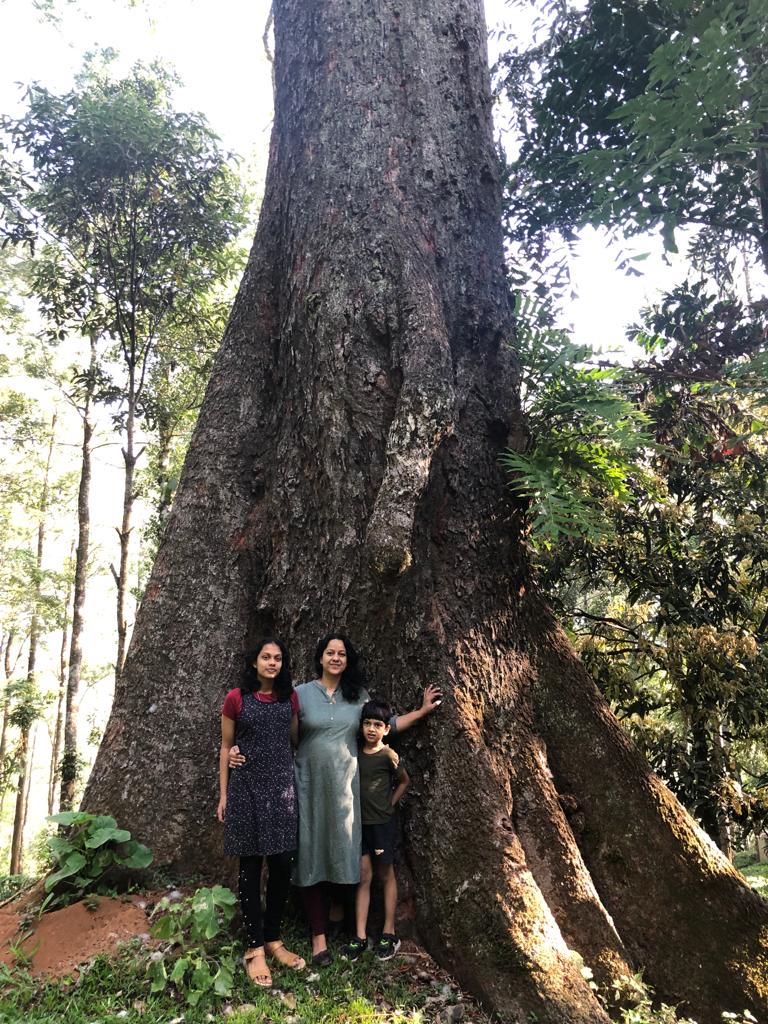 28006942-2386-4e36-a92b-85623f1d6b9f