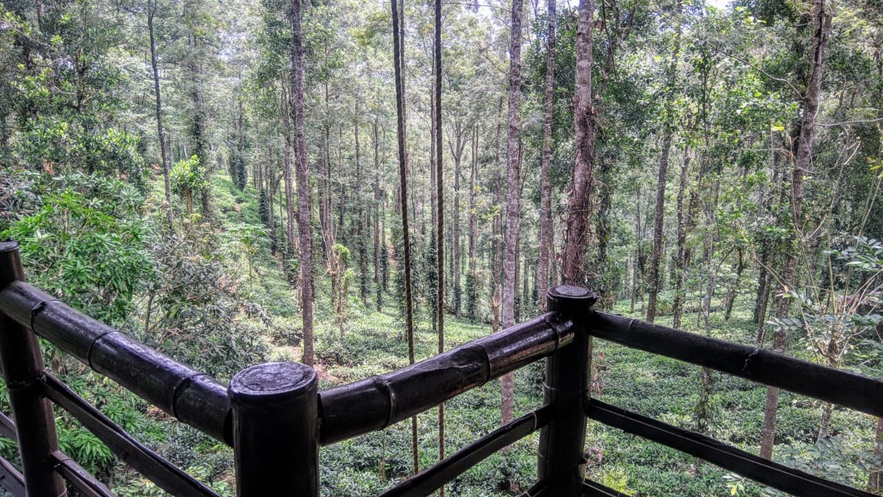 749bb0e3-7389-470a-8d6f-836e7583a0e6