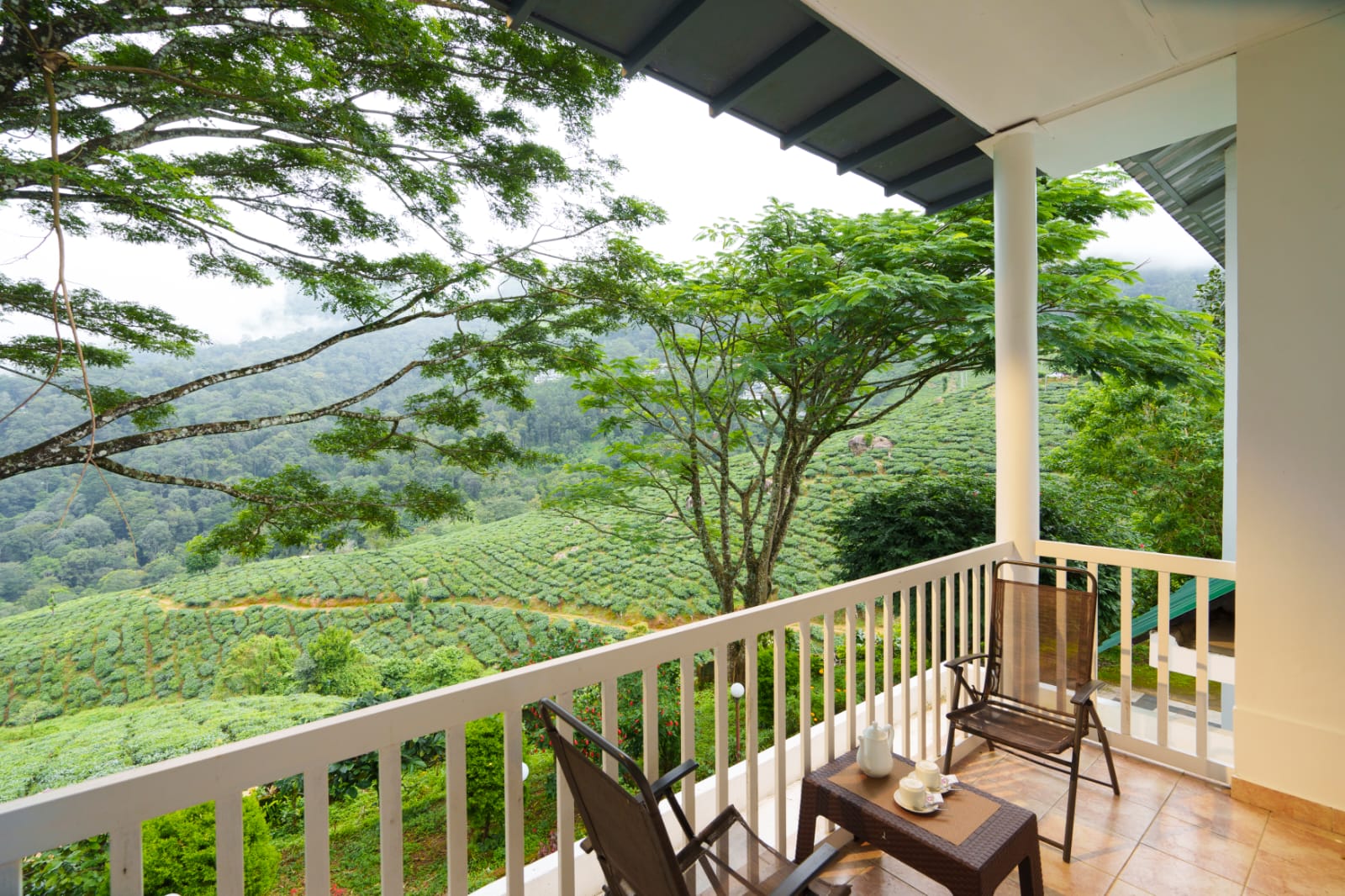 6e11eb79-6993-4bd0-8c3a-93b6f9ab0ad6