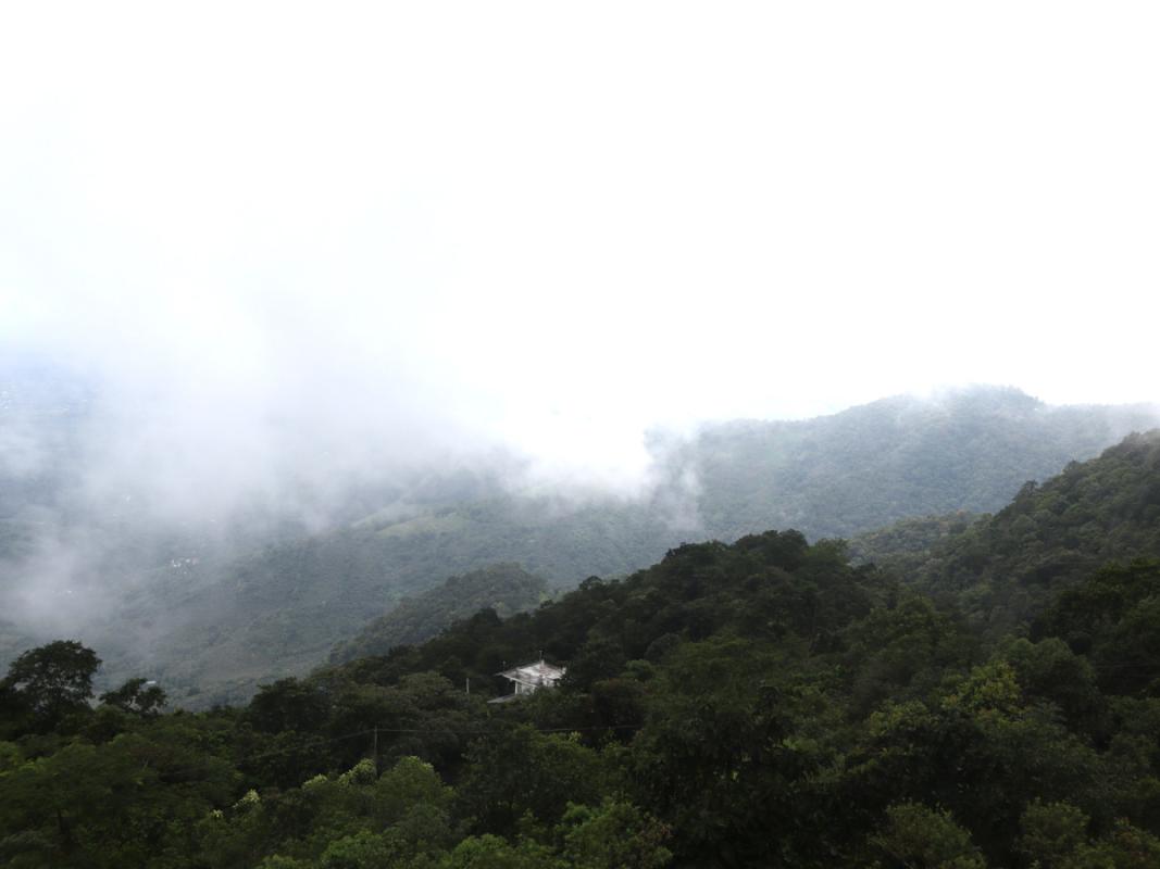 outdoor_view_4