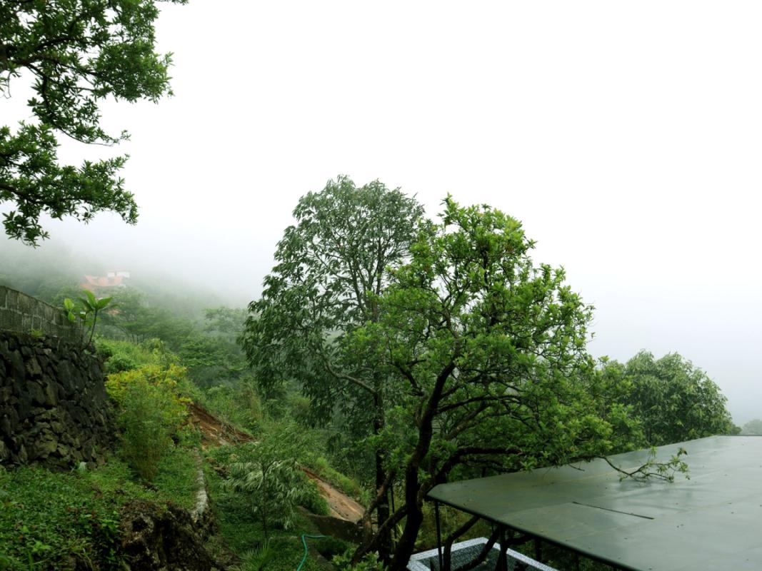 outdoor_view_1