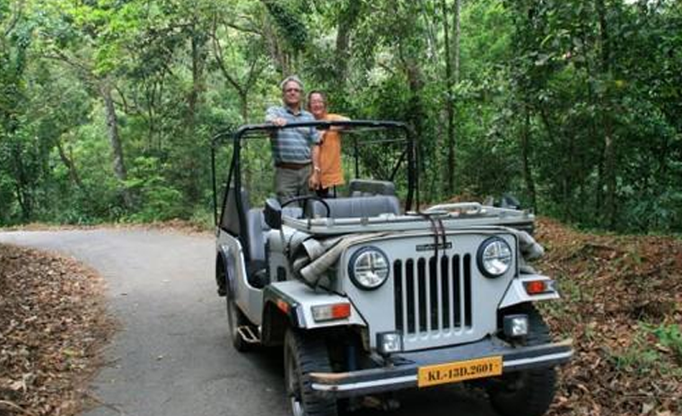 Jungle and Sightseeing Jeep Safaris